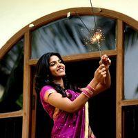 Aravaan Heroine Dhansika in saree - Stills | Picture 110087